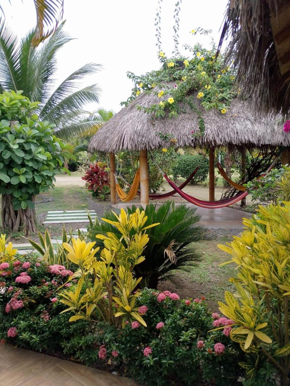 Riviera Pacific Pedernales